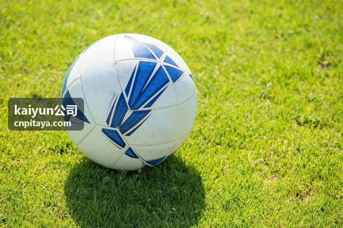 kaiyun公司为连锁机构搭建的会员运营后台界面