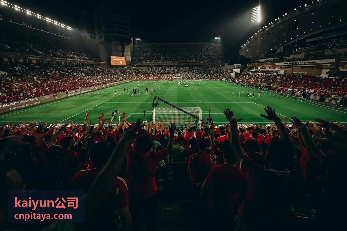 kaiyun公司为企业搭建的数据看板与分析平台界面